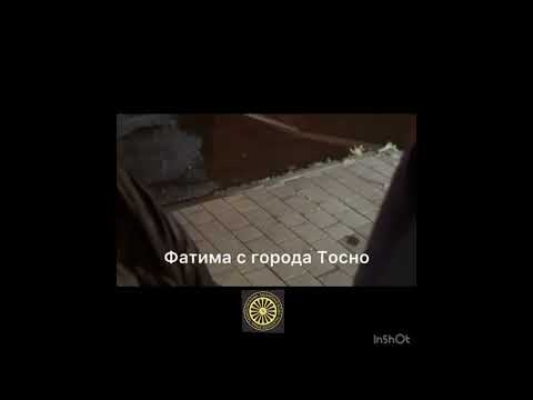 Видео: ПРИСЛАННЫЙ ТЕКСТ: «г.Тосно возьмите во внимание!» 