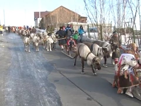 Видео: День оленевода 2015