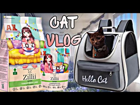 Видео: CAT VLOG: КУПИЛИ КОРМ ZILLII СУПЕР ПРЕМИУМ