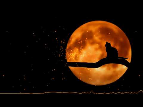 Видео: НЮША - Вою на луну (Slowed & Reverb) Remix