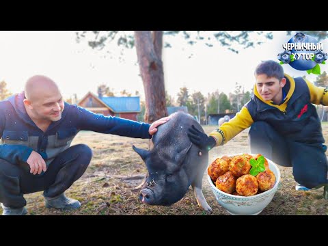 Видео: Жизнь на белорусском лесном хуторе. Ловим рыбу,делаем забор,закатываем берёзовый сок,готовим тефтели