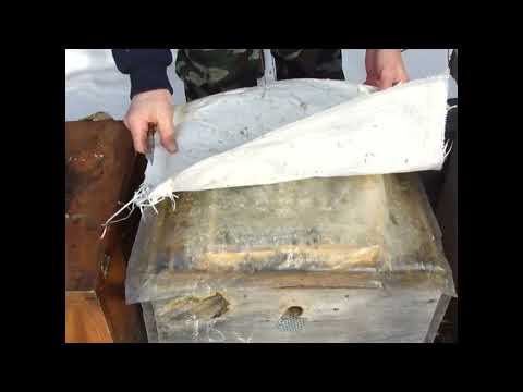 Видео: Февраль  Осмотр семей  Минус одна