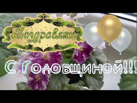 Видео: Мои ФИАЛКИ Празднуют... ОБЗОР!!!#цветы #фиалки #flowers #сорт