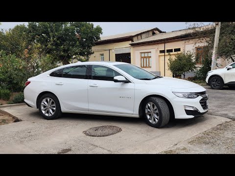 Видео: Обзор на MALIBU 2 PREMIER