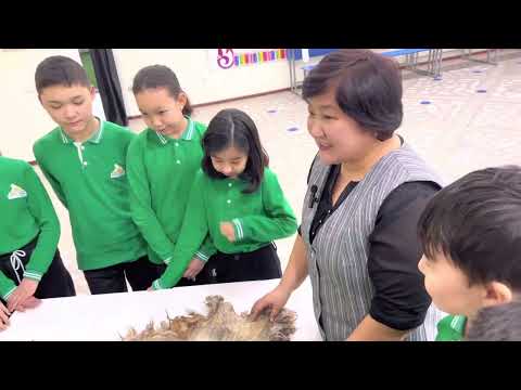 Видео: Койдун терисин иштетүү ыкмасы