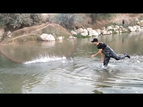 Видео: рыбалка на кастинговую сеть рыбы много и разной мохигири дар ТАДЖИКИСТАН ГОРОД Н. ВОСЕ