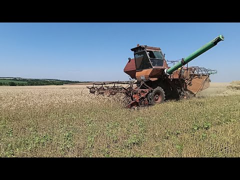 Видео: Сбор урожая часть 3. #механизатор #сельскоехозяйство 