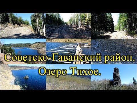 Видео: 2017. Озеро Тихое. На велосипеде. Советско-Гаванский район.