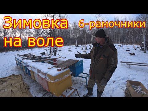Видео: ЗИМОВКА на ВОЛЕ в 6 рамочниках!!! ВЕНТИЛЯЦИЯ верхняя и нижняя