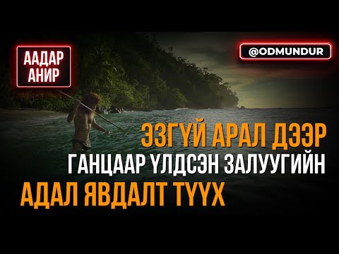 Видео: Эзгүй арал дээр ганцаараа амьдарсан залуугийн адал явдалт түүх - ААДАР АНИР