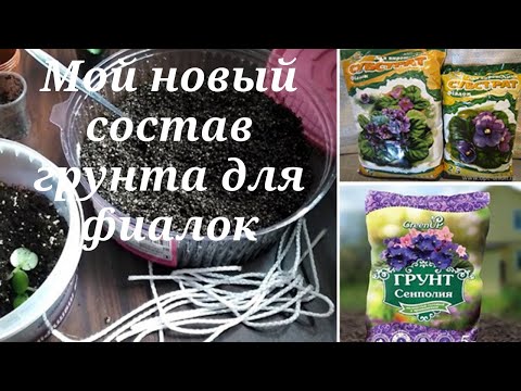 Видео: Как я сейчас готовлю грунт для фиалок.