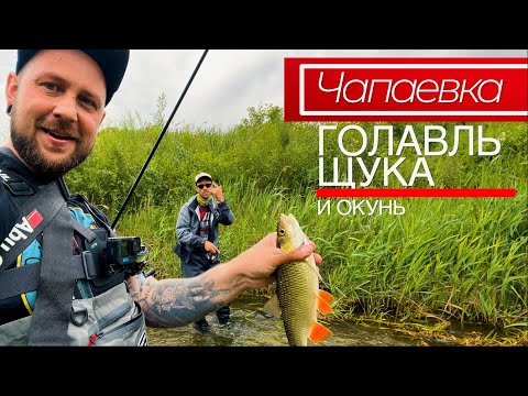 Видео: БОЛЬШАЯ рыбалка на реке Чапаевка (Самарская область)