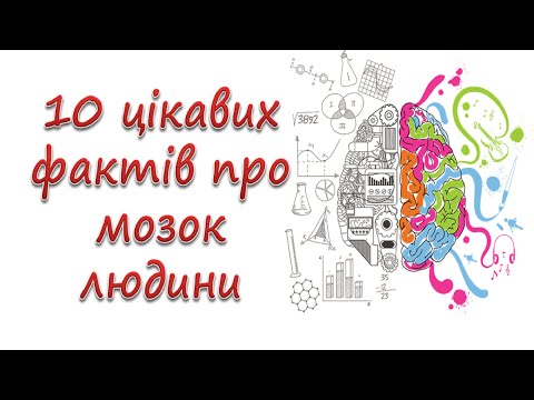 Видео: 10 цікавих фактів про мозок людини