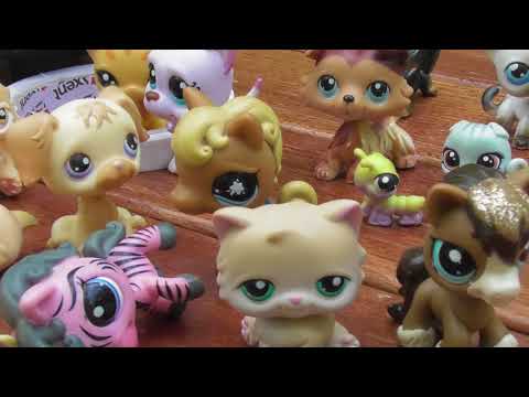 Видео: LPS Посылка от любимого блогера! LPS tag и аксессуар как у Бузовой