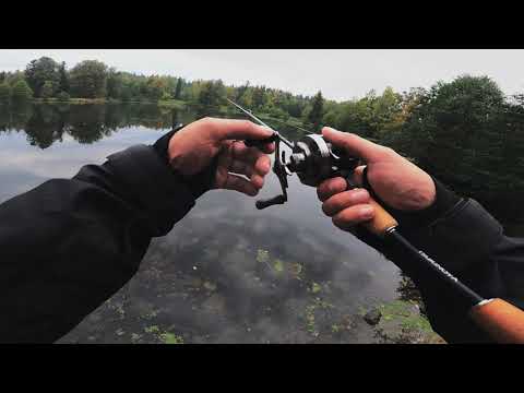 Видео: Shimano Calcutta BFS тест на озере  Щучка!