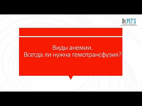 Видео: Виды анемии. Всегда ли нужна гемотрансфузия?