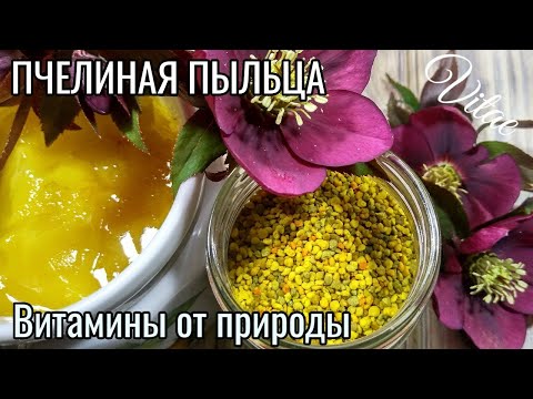 Видео: ПЫЛЬЦА ПЧЕЛИНАЯ,ее польза и как принимать