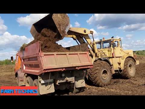 Видео: Погрузчик ПК-6 (К-701) грузит навоз. Вывоз навоза КамАЗ