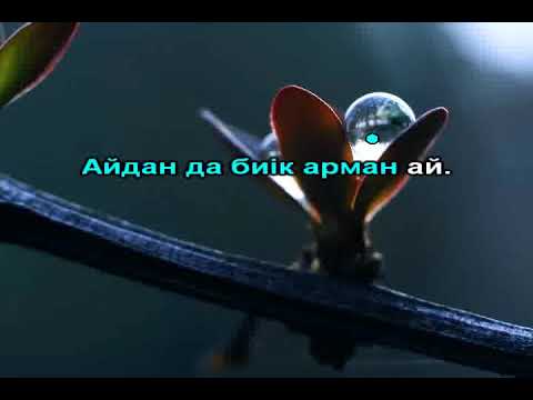 Видео: Мойыл көз караоке Тоқтар Серік