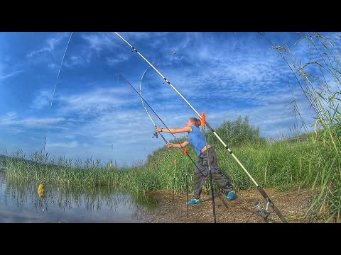 Видео: РЫБАЛКА ДОНКИ КРОКОДИЛ ВОЛГА Fishing