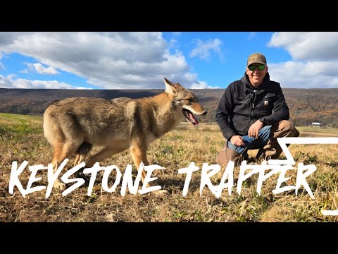 Видео: 25,26 Сезон отлова, Эпизод 5. Где койоты!