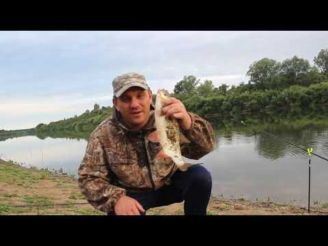 Видео: Рыбалка на Томи на леща, язя 2020