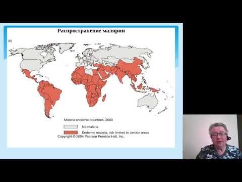 Видео: Инфекционные болезни. Малярия