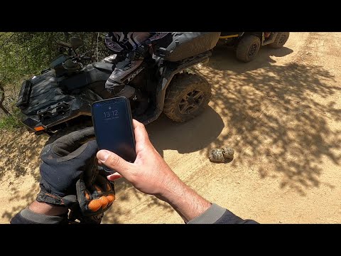 Видео: Приключение в Гърция - (ден 2, 3/5,  2022.04.26 - Костенурки)