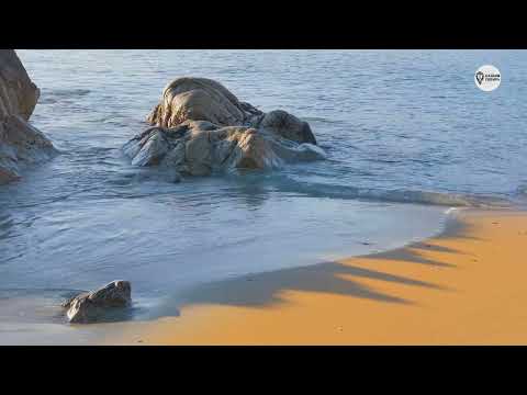 Видео: Наша Сибирь 4К: Японское море