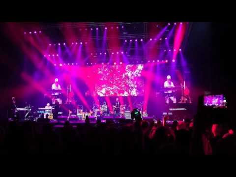 Видео: Щурците - Безкраен вятър