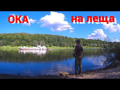 Видео: ХОЧУ ПОЙМАТЬ ЛЕЩА. Две рыбалки на донки на ОКЕ.