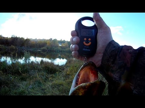 Видео: Китайская РУДРА 130 SP сделала всю рыбалку !!! Щука на 3 кг..