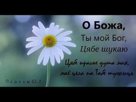 Видео: О Божа мой, Цябе шукаю (Псальм 63)