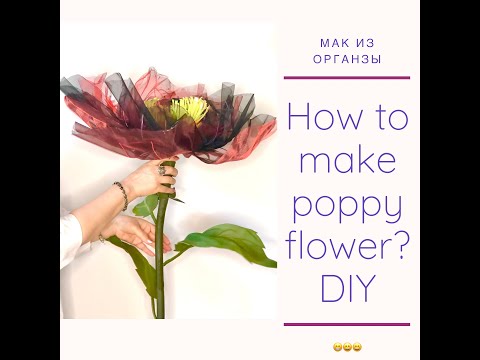 Видео: Большой Мак из Органзы / DIY HOW TO MAKE BIG POPPY FLOWER