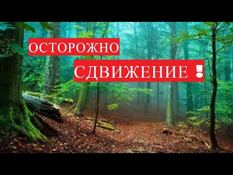 Видео: ТИШИНА В ЛЕСУ/ ОСТОРОЖНО ЗМЕИ ! СДВИЖЕНИЕ НАЧАЛОСЬ,