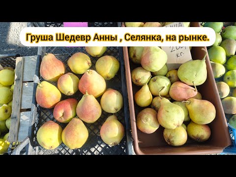 Видео: Груша Шедевр Анны, Селянка, на рынке.