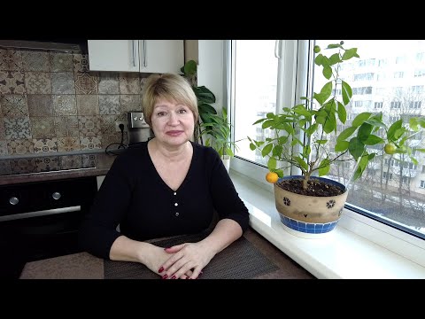 Видео: СПАСИБО ВСЕМ КТО БЕСПОКОИЛСЯ ОБО МНЕ/ Эмоциональное выгорание/ Новая сеть/ Беларусь/Минск/ Влог