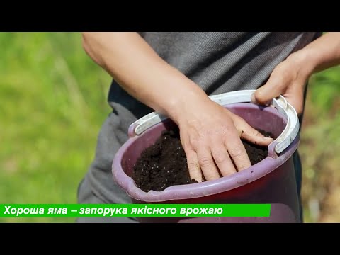 Видео: КАК СОЗДАТЬ ЛУЧШИЕ УСЛОВИЯ ДЛЯ РАЗВИТИЯ РАСТЕНИЯ