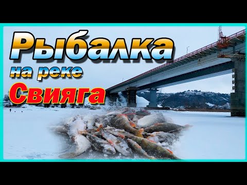 Видео: Рыбалка в Татарстане на реке Свияга. с. Исаково