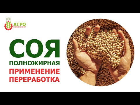 Видео: Соя полножирная, применение в животноводстве. Особенности переработки