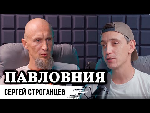 Видео: Павловния. Секреты и преимущества культуры.