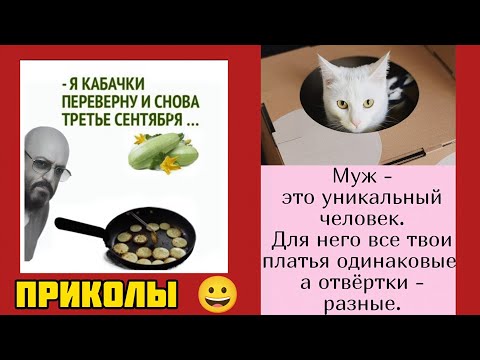 Видео: Хохот  до  хвоста смешные приколы веселые картинки 😃 и котики 