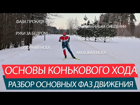 Видео: КОНЬКОВЫЙ ХОД - ОСНОВНЫЕ ФАЗЫ ДВИЖЕНИЙ