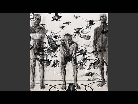 Видео: Чёрный ворон