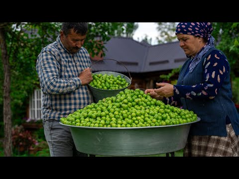 Видео: 🍒🌿 Сбор Алычи и Консервирование на Зиму🥫❄️