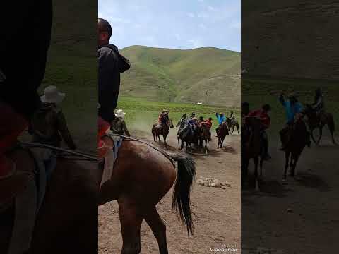 Видео: бузкаши дар д.сафедорон майдони сафедсанг