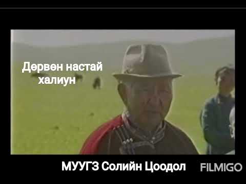 Видео: Дөрвөн настай халиун (МУУГЗ Солийн Цоодол)