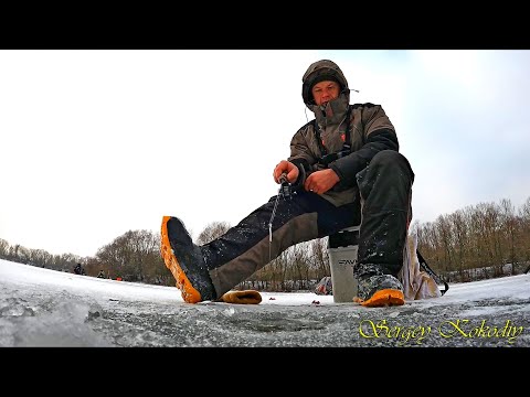 Видео: ЭТУ СНАСТЬ НУЖНО ЗАПРЕТИТЬ! Первый лед 2021- 2022! Ловля окуня на пирамиду