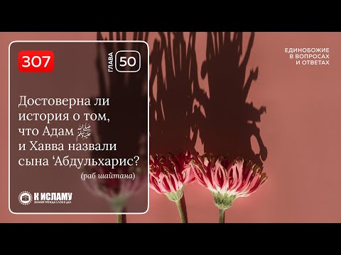 Видео: 307. Достоверно ли, что Адам и Хавва назвали сына ‘Абдульхарис? Единобожие в вопросах и ответах