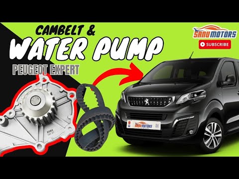 Видео: Руководство по замене ремня ГРМ и водяного насоса Peugeot Expert | Советы экспертов и пошаговое р...
